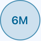 6M